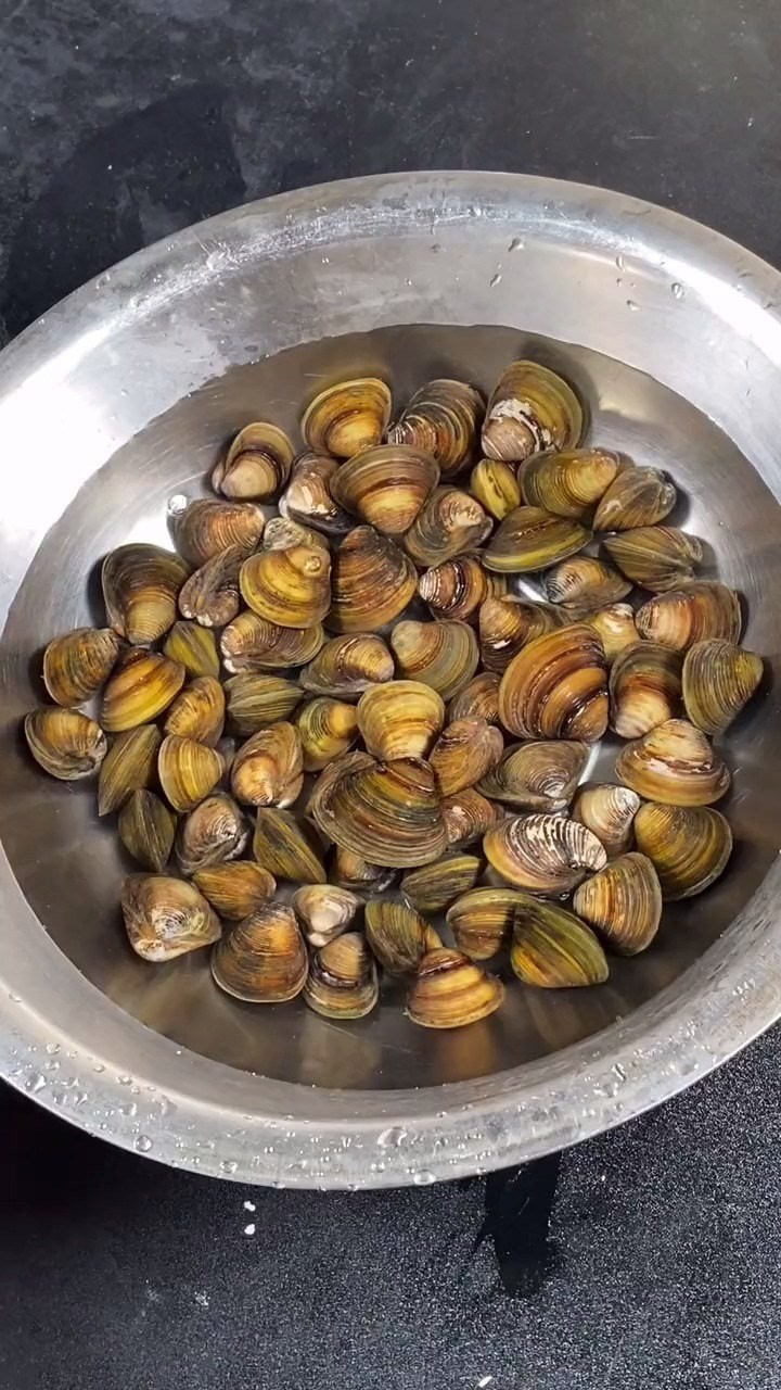 沙螺秒变家常菜好吃又健康