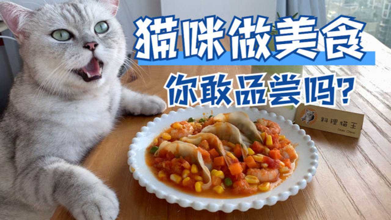 【料理猫王】猫咪做的饺子,一个敢做,一个敢吃