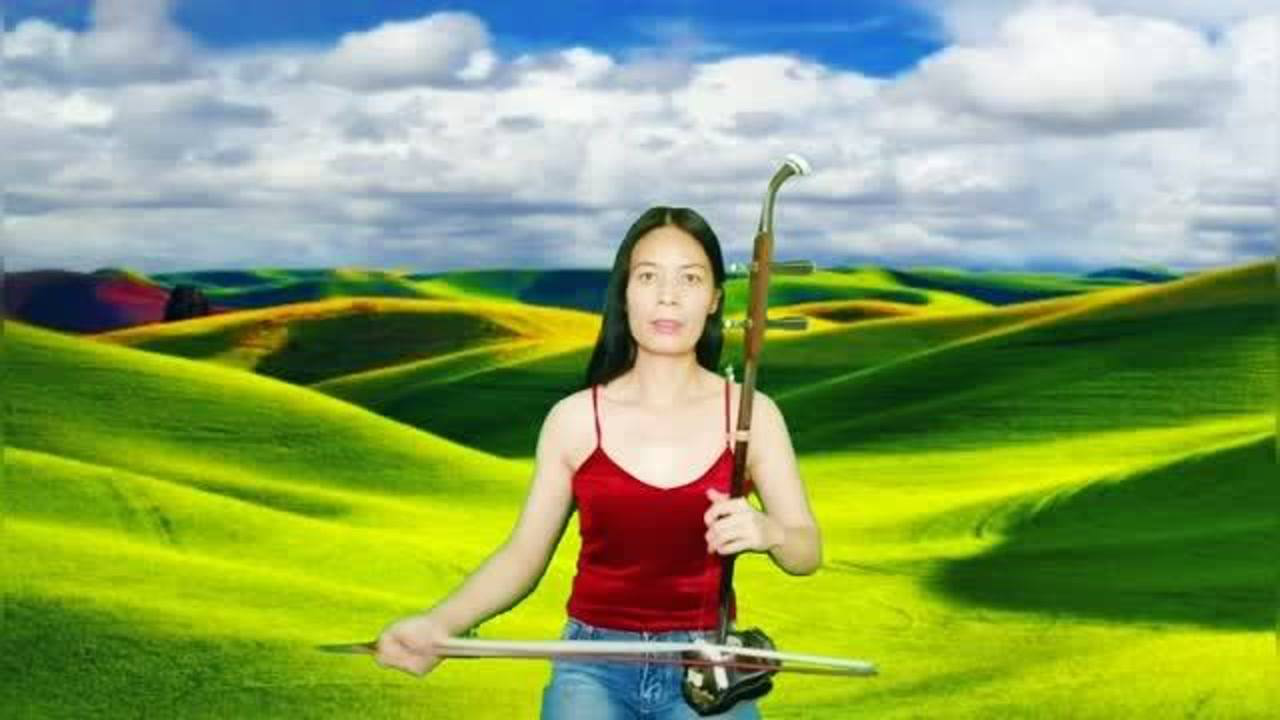 二胡演奏陪你一起看草原去看那蓝蓝的天看那白云轻轻地飘
