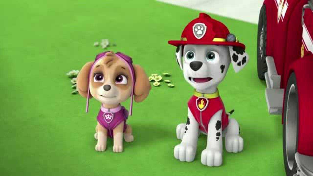 汪汪队灰灰最害怕水,为了帮雅丽克服恐惧,主动被喷水_腾讯视频