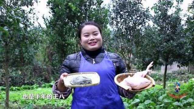 胖大姐今天做道硬菜”王八炖老母鸡“,给家人补补身体!