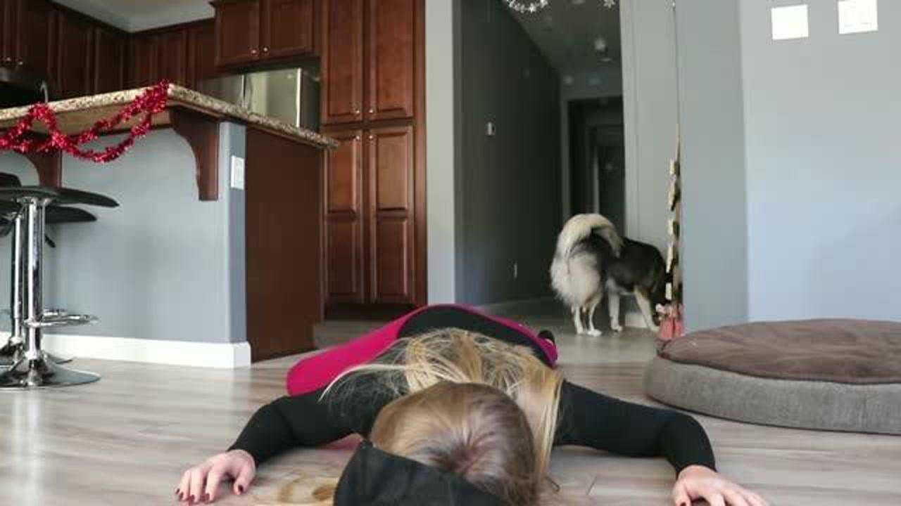 美女主人在没良心的狗狗面前装死得到的确是冷眼旁观