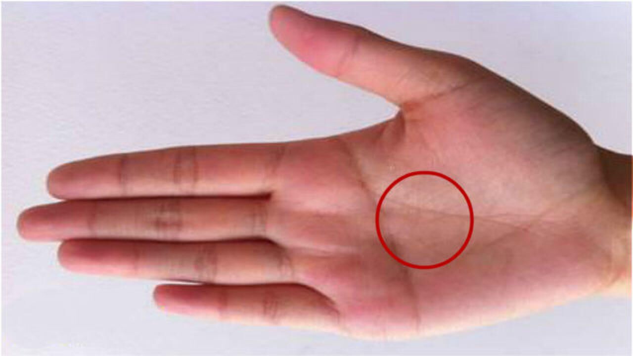 2020木型手相女命运如何木型手女人情感婚姻金型手型有福气