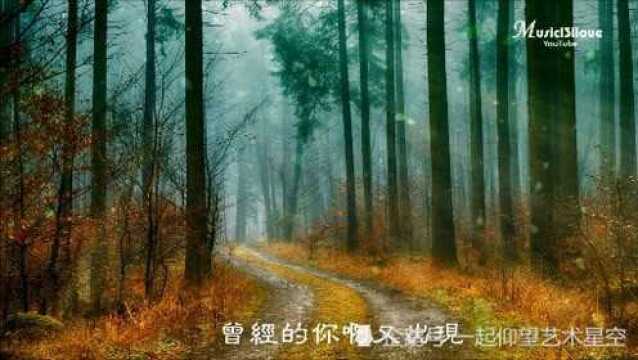 陈瑞《昨夜秋雨》,配图音乐欣赏