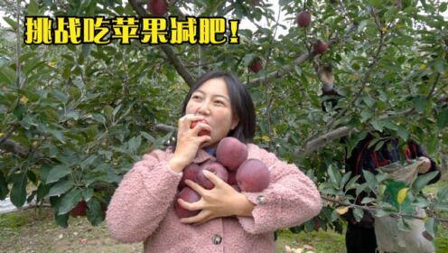 农村女孩苹果园呆了20天，每天吃十几颗苹果瘦了9斤，吃苹果能减肥？