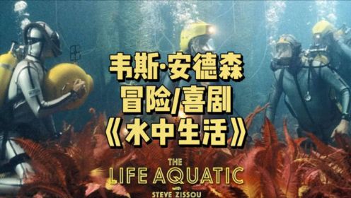 人到中年喜当爹，一波三折的海上奇幻冒险，详解电影《水中生活》