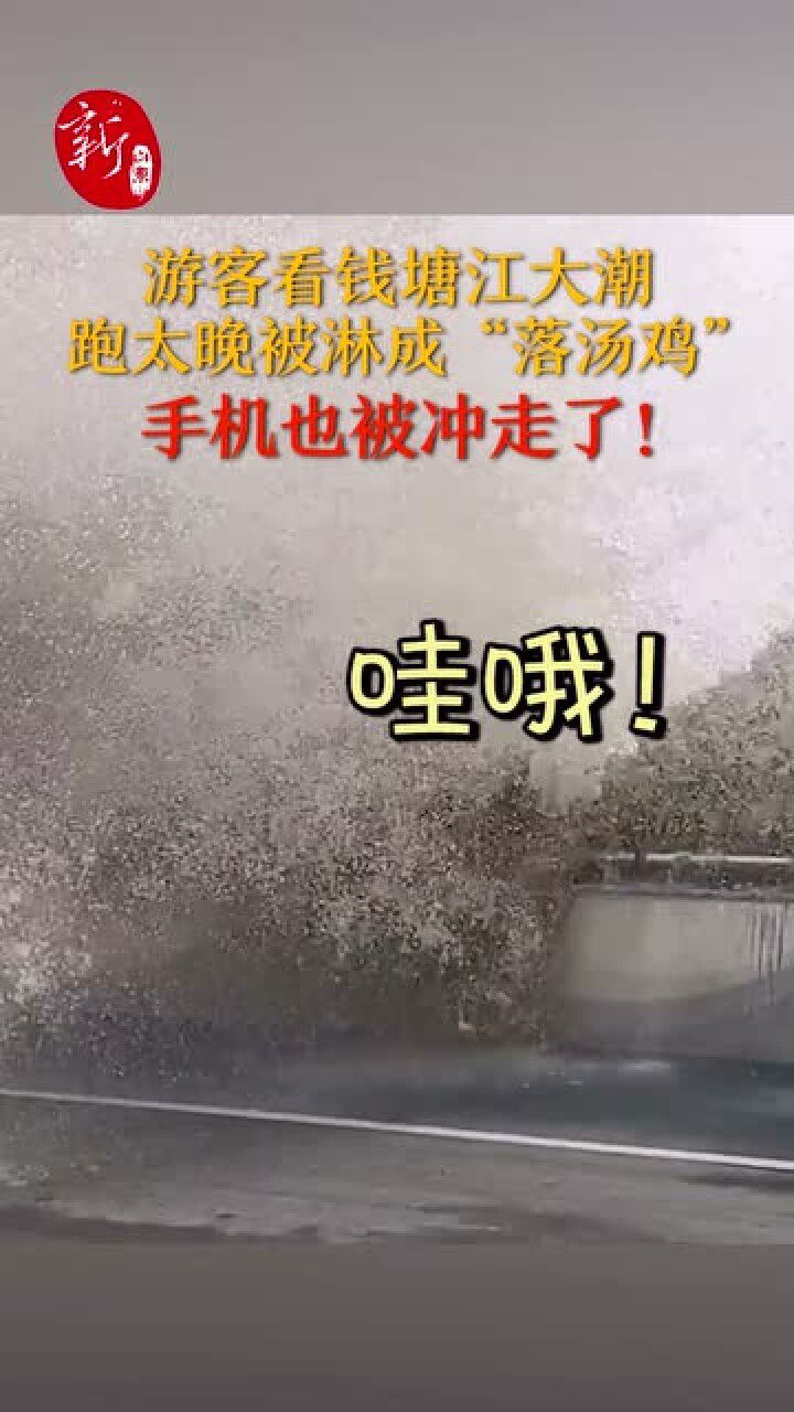 游客看钱塘江大潮跑太晚被淋成落汤鸡手机也被冲走了