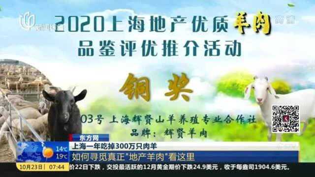 上海一年吃掉300万只肉羊!如何寻觅真正“地产羊肉”看这里