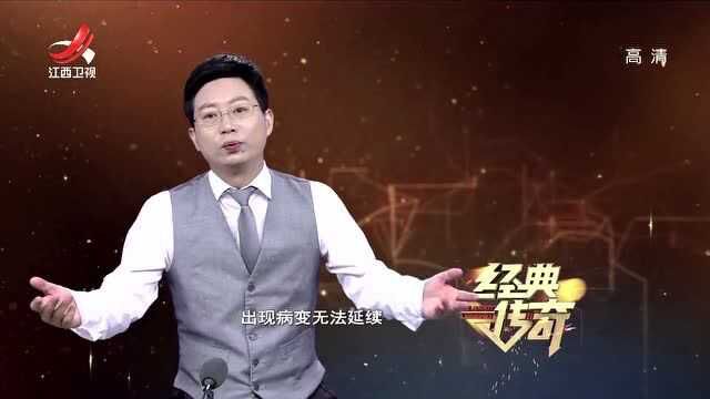 恐龙灭绝原因一直都是个谜,现在终于真相大白,因为它