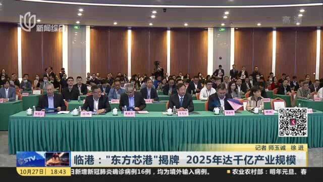 临港:“东方芯港”揭牌 2025年达千亿产业规模