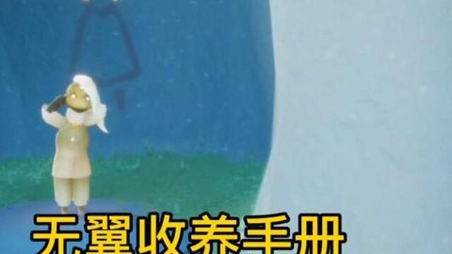 光遇,无翼收养手册