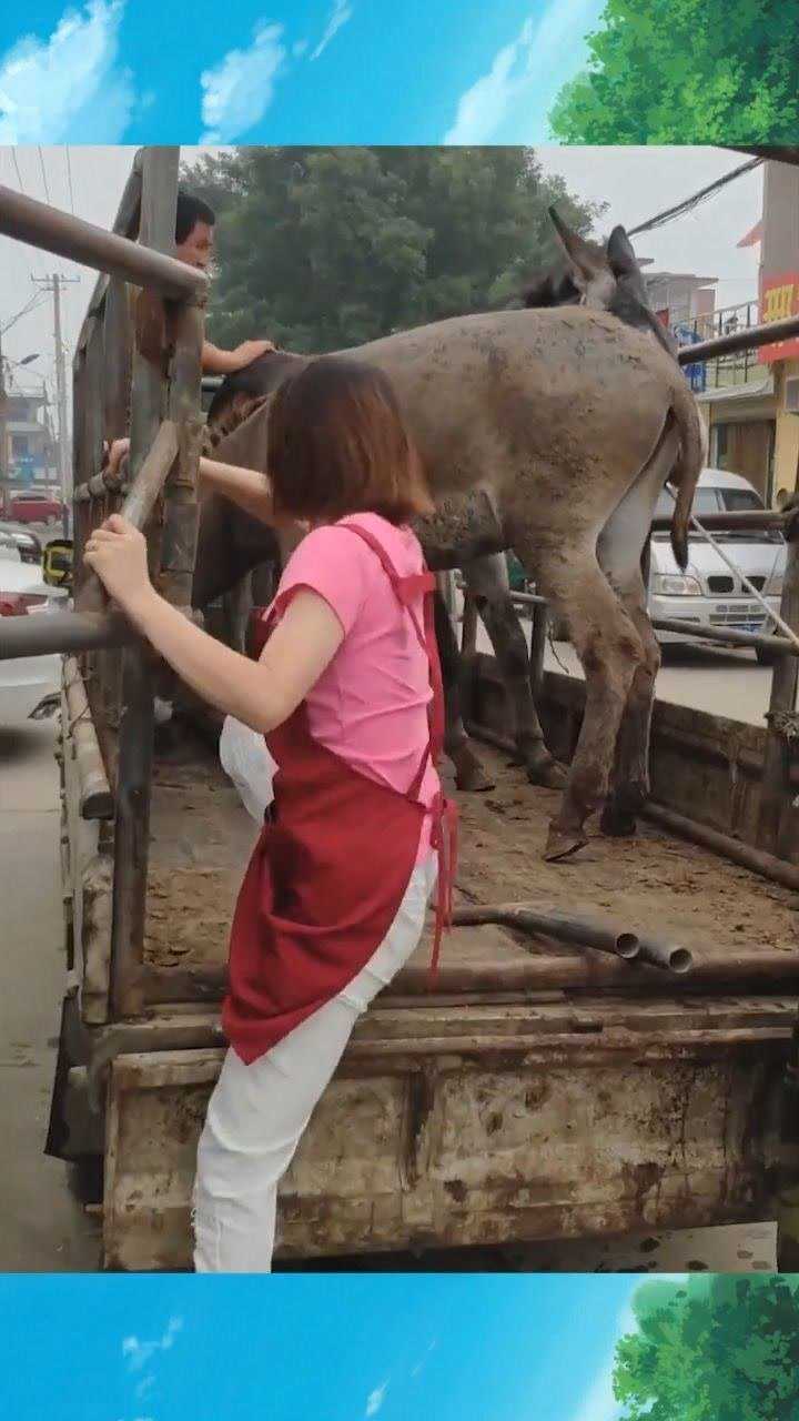 女屠夫你见过吗