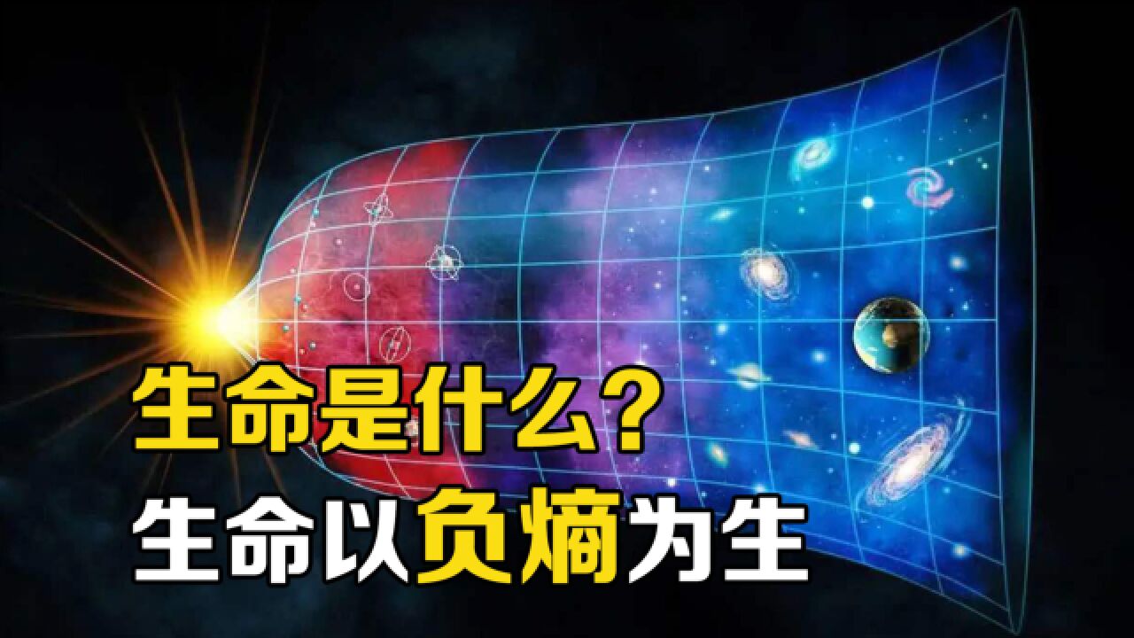 “熵”是什么?用概率思维理解“熵增定律”,宇宙万物终将死亡!_高清1080P在线观看平台_腾讯视频