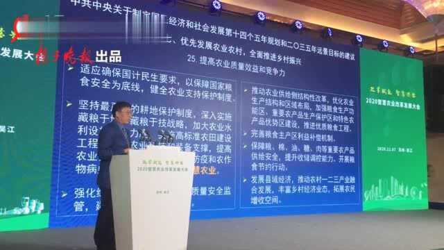 打造智慧农业发展高地 2020智慧农业改革发展大会在苏州举行