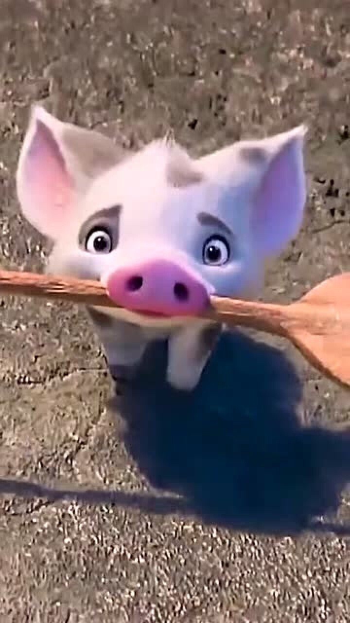 海洋奇缘这只小猪好可爱啊眉清目秀的