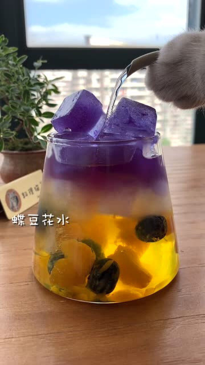 【料理猫王】猫王做的星空饮品,超高颜值