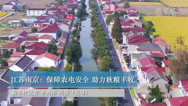 江苏南京:保障农电安全 助力秋粮丰收