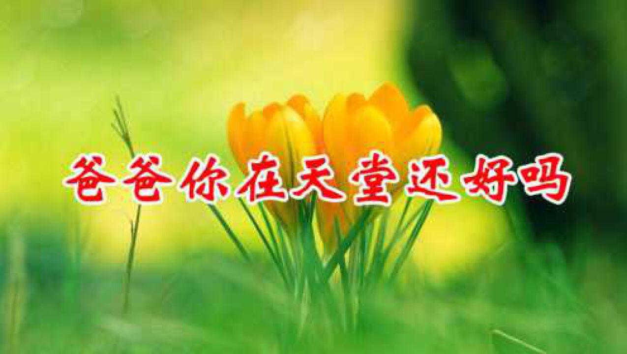 一曲《爸爸你在天堂还好吗》,感动天下儿女,歌词句句催人泪下!