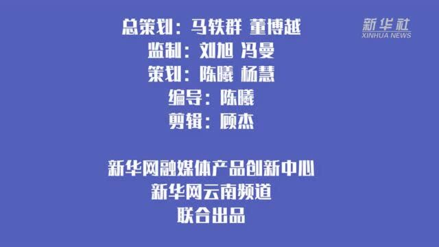 快来看!“双十一”快递垃圾分类指南