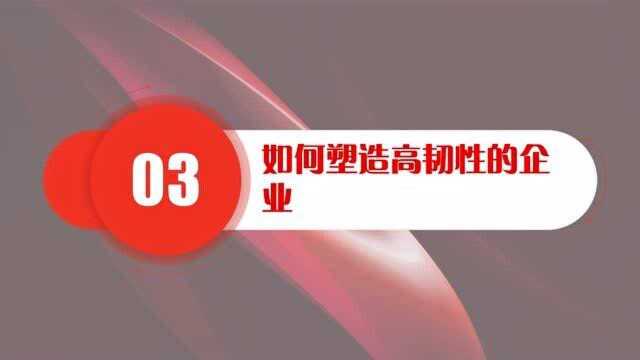 塑造高韧性企业的五大法则08