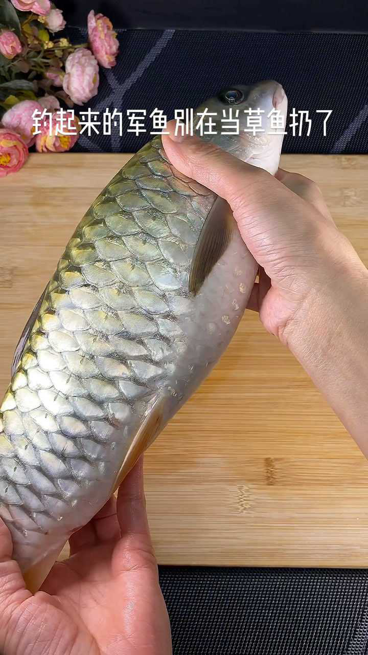 军鱼这样做营养好吃汤鲜味美特别是鱼鳞营养价值高