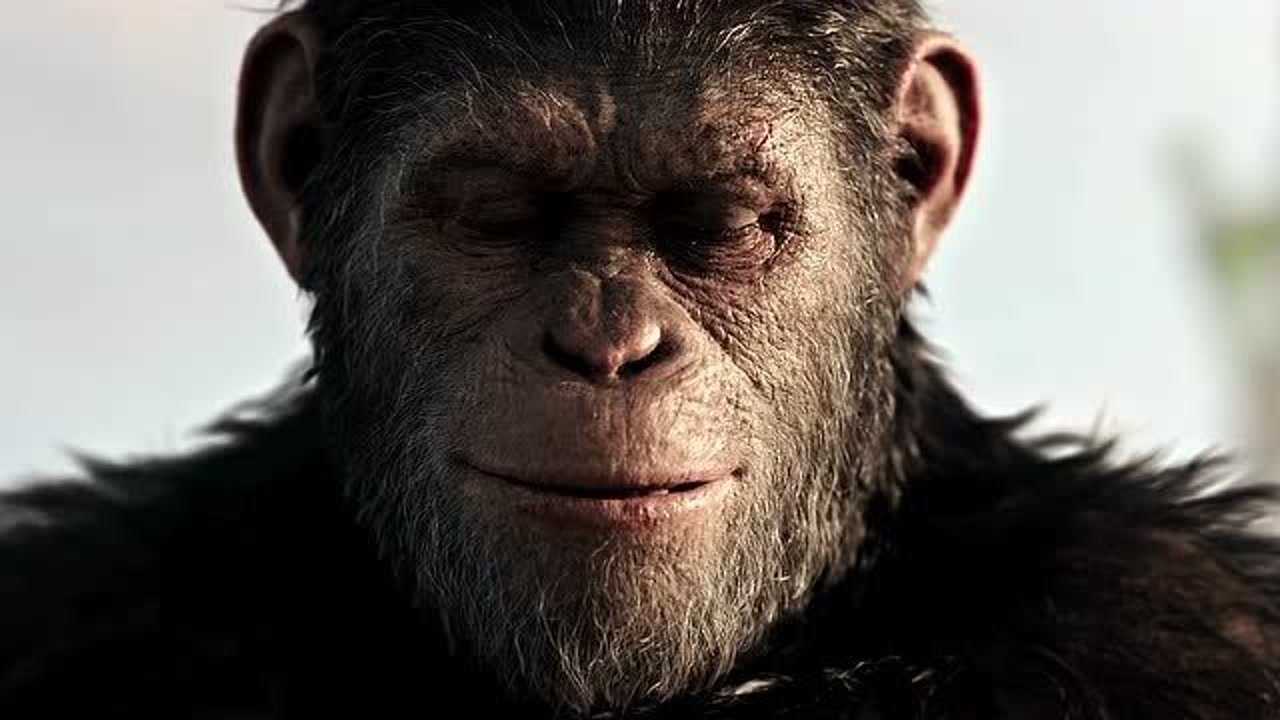 电影猩球崛起,毛里斯终于会说话了,猿族也找到了属于自己的家