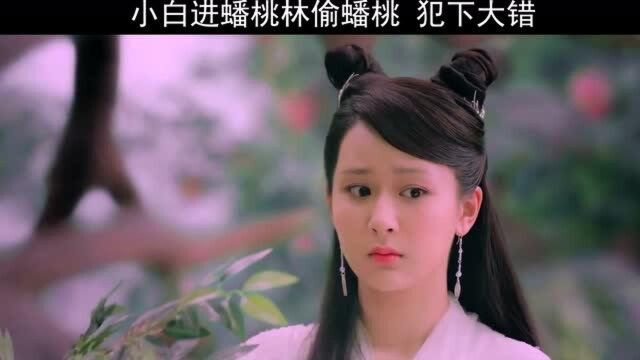 影视:小白偷摘蟠桃,却自己掉下来了