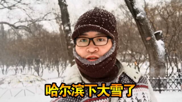 哈尔滨下大雪了,白茫茫一片