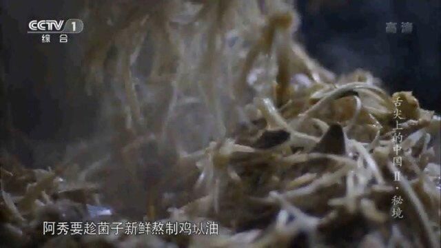 舌尖上的中国:这类油,可以保持菜品的鲜味