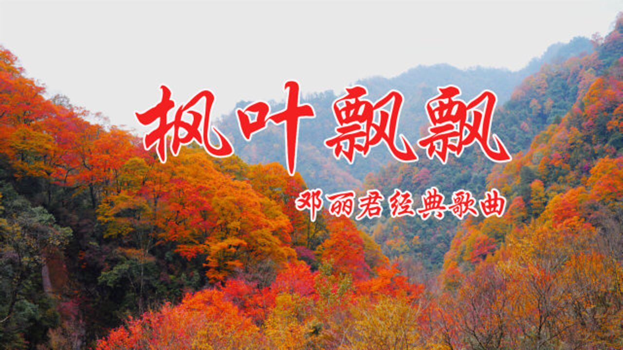 经典老歌邓丽君的枫叶飘飘