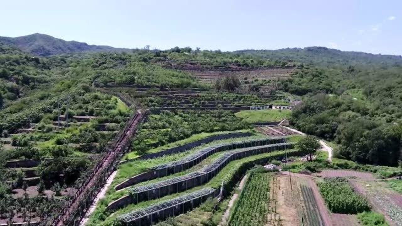 门头沟瓜草地