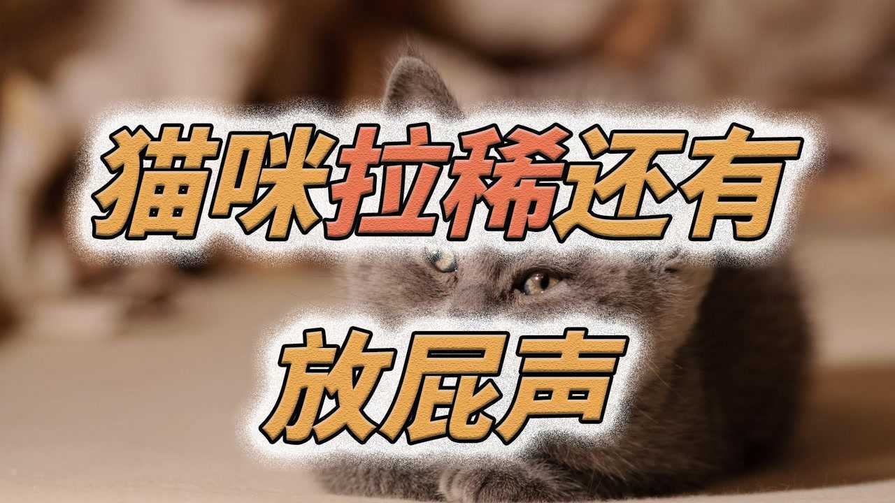 猫咪拉稀还有放屁声_腾讯视频
