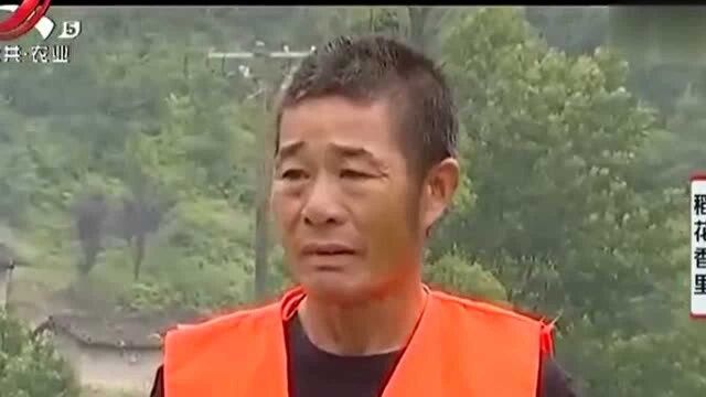 螺田特产的红皮大蒜 可以和水稻轮作来种 亩产效益超过一万