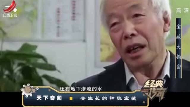 炼制火药用的硝,就是能当肥料能生长的宝贝?专家给出了解释