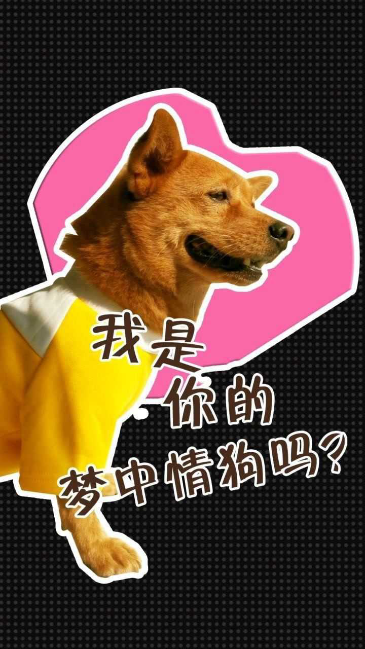 梦中情狗,你想摸摸吗?