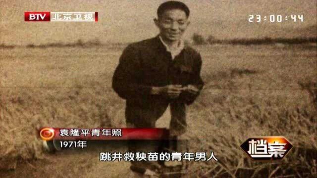 1968年,袁隆平刚开始接触研究杂交水稻,怎料研究成果就被破坏了