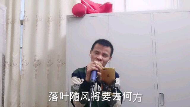 一首经典的老歌送给大家.