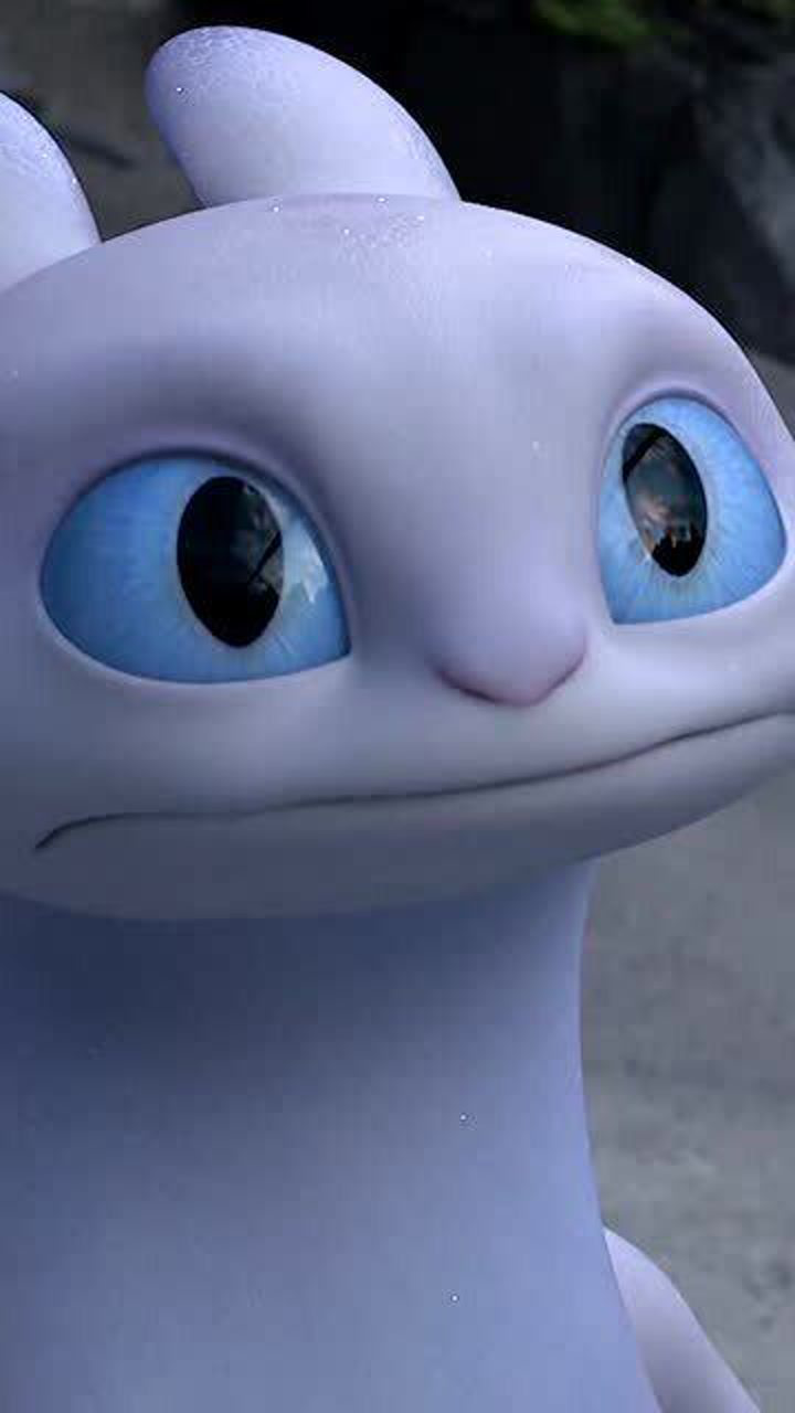 驯龙高手,无牙仔的撩妹现场,真是太可爱了