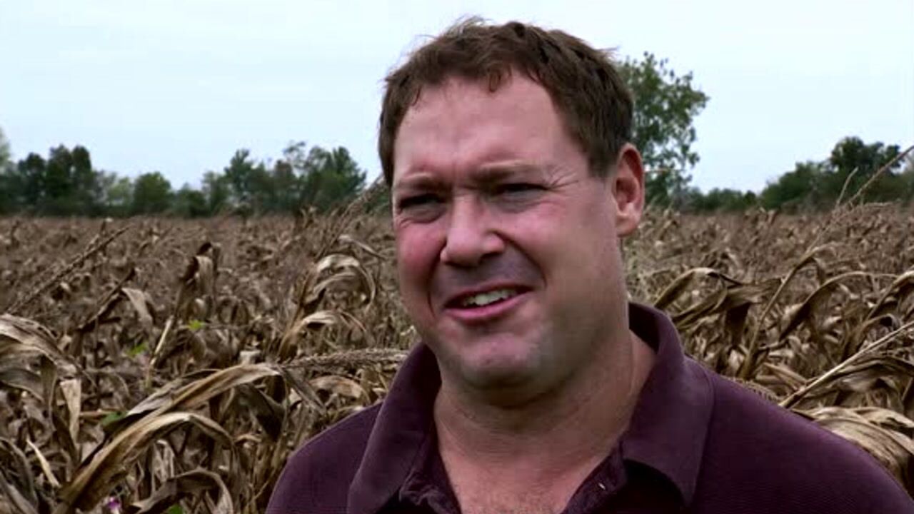 闯哥电影解说一家公司可以独占一种粮食作物是什么概念