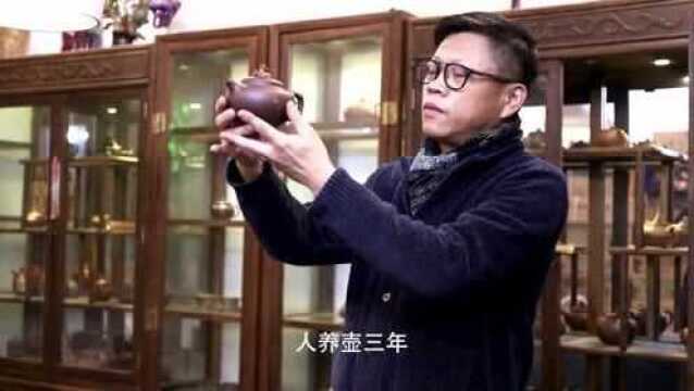 火之韵紫砂茶事,好壶、好茶、好人家!