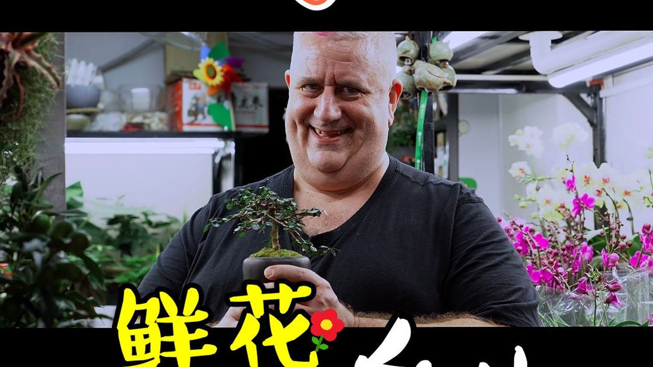 果童大叔日常第15集丨为了给老婆买花你知道我拒绝了多少诱惑吗vlog我