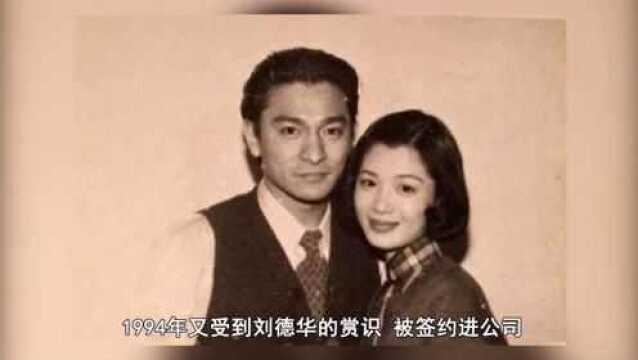 陈少霞:凭《鹿鼎记》大火,是刘德华唯一的女徒弟,如今怎么样了