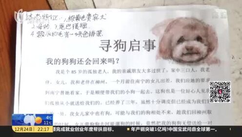 广西柳州：爱犬被送陌生人  八旬老人手绘寻狗启事