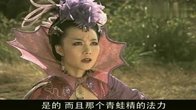 还记得《活佛济公》里的大魔头乾坤洞主吗?他和蜥蜴精在策划什么