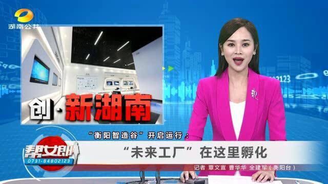 (创.新湖南)“衡阳智造谷”开启运行: “未来工厂”在这里孵化