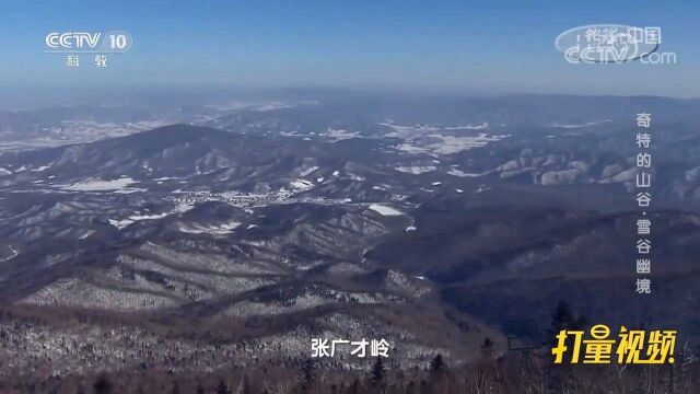 张广才岭上的神秘山谷,为何被人们称为“危险地带”