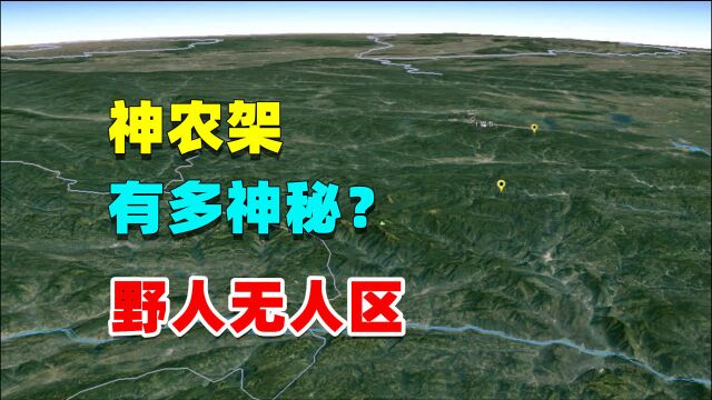 湖北神农架,有多神秘?为何会设立禁区