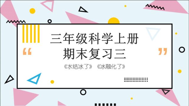 科教版三年级科学上册期末复习三