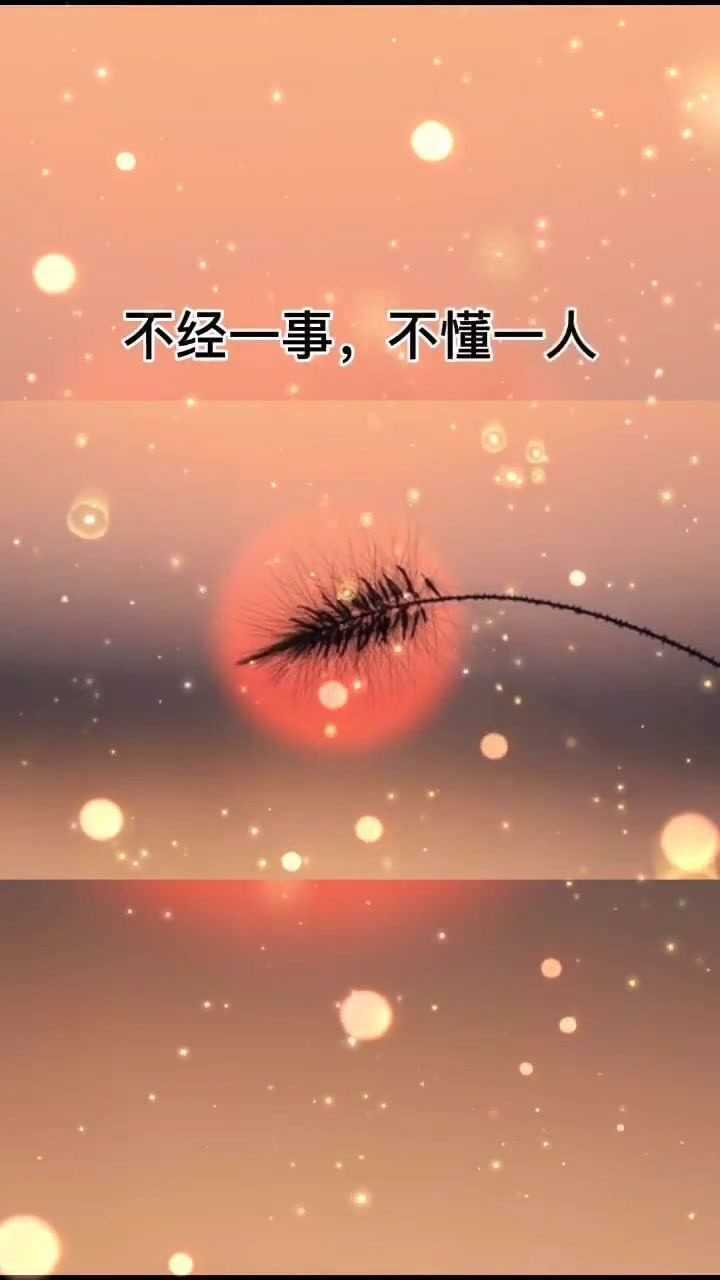 时间识人落难识心不经一事不懂一人不要赌天意不要猜人心天意输不起