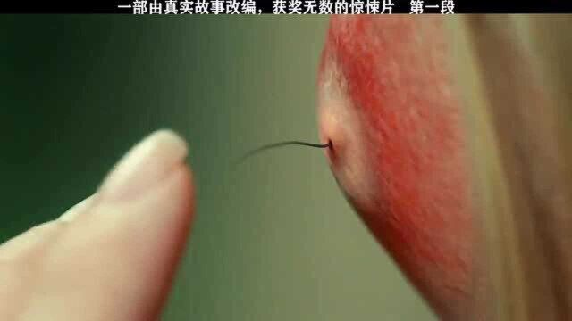 一部由真实故事改编,获奖无数的惊悚片,值得一看